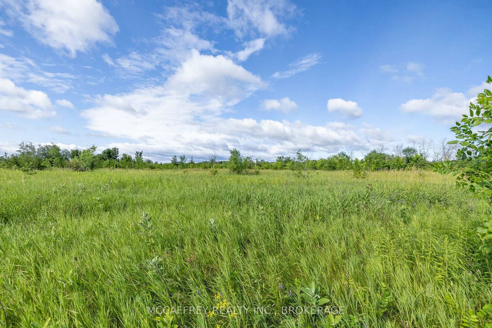 00 County Rd 8 • Napanee, ON photo 10