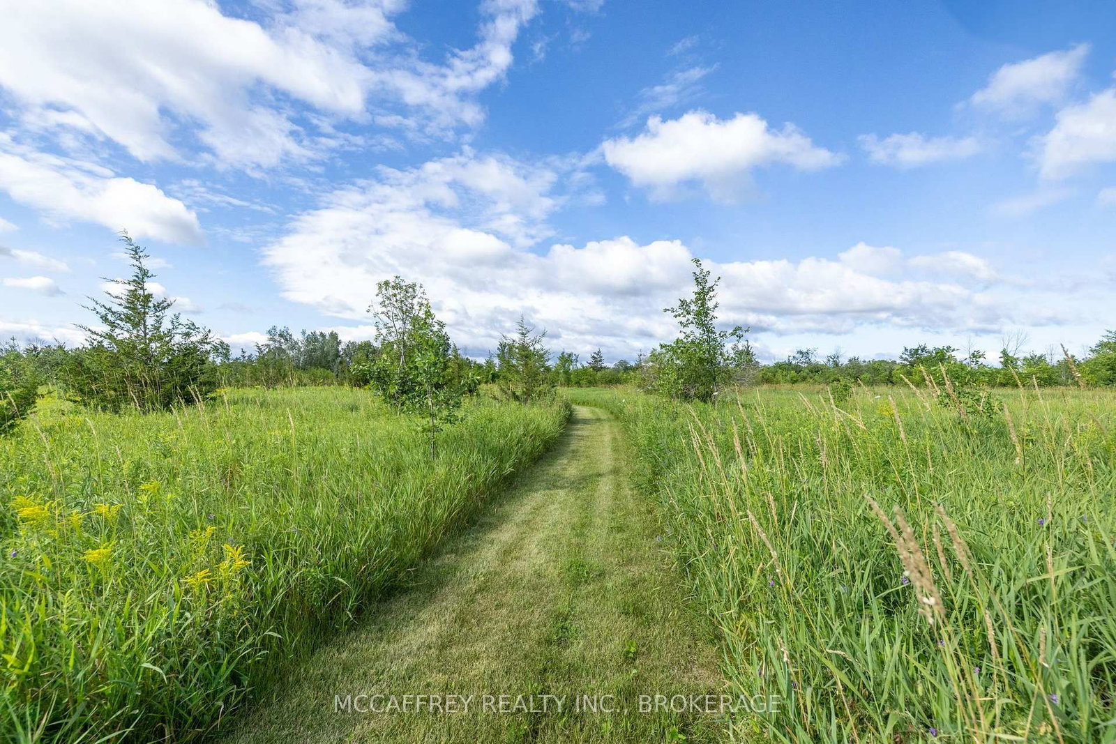 00 County Rd 8 • Napanee, ON photo 12