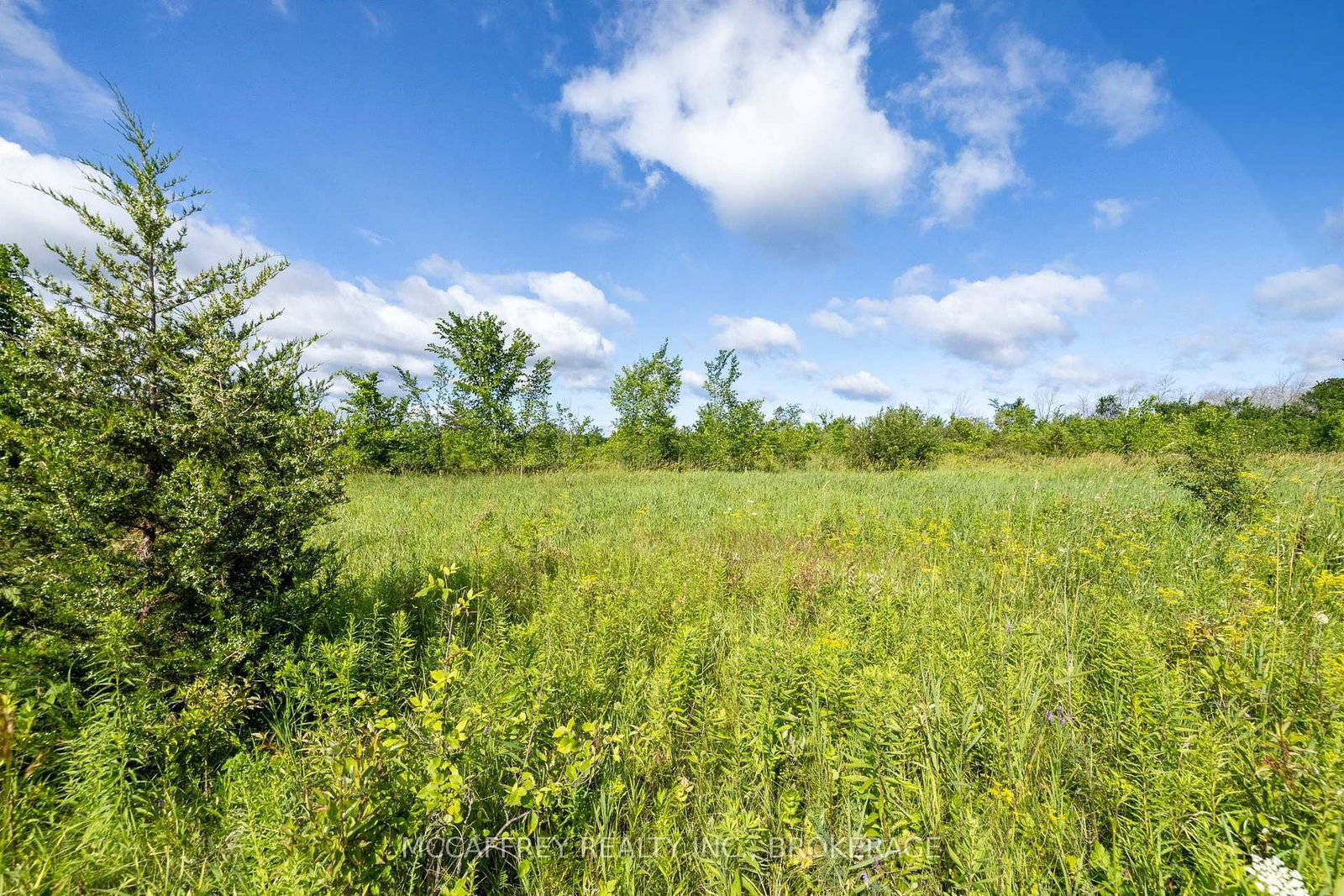 00 County Rd 8 • Napanee, ON photo 15