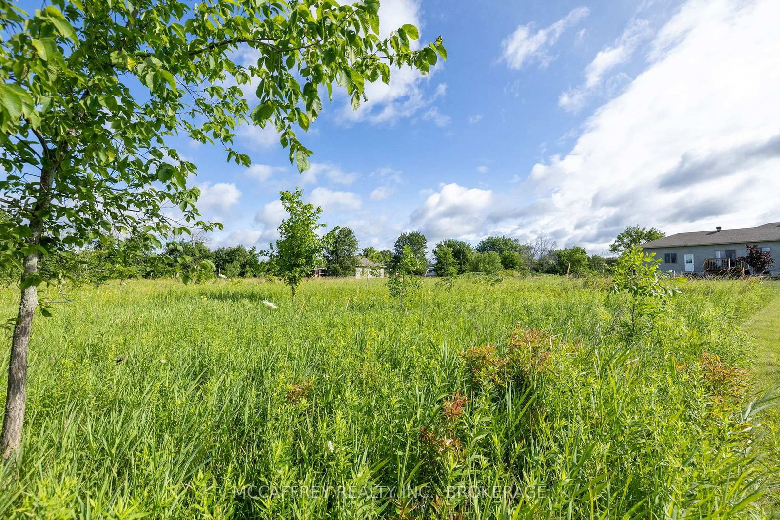 00 County Rd 8 • Napanee, ON photo 16