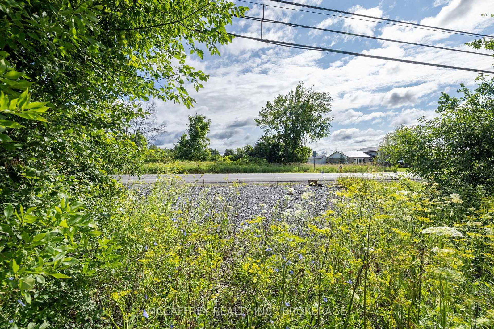 00 County Rd 8 • Napanee, ON photo 17