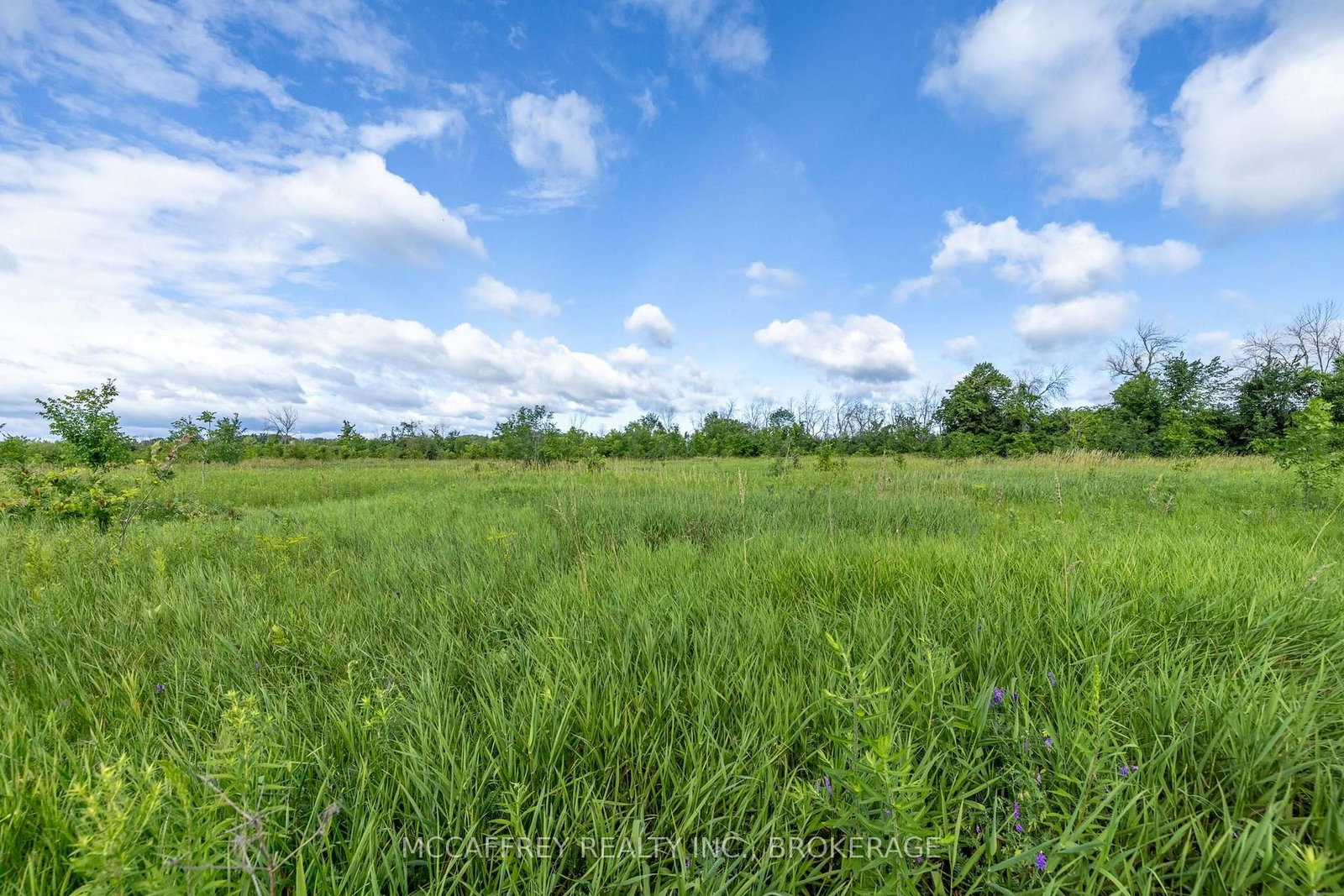 00 County Rd 8 • Napanee, ON photo 8