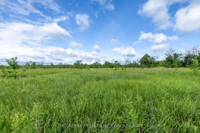 00 County Rd 8 • Napanee, ON photo 8