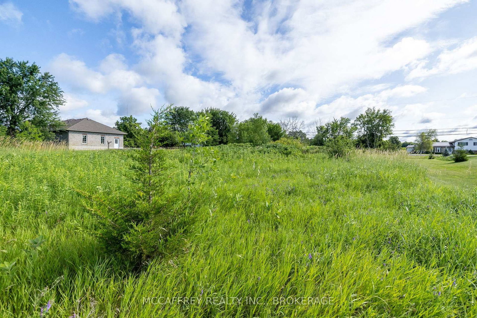 00 County Rd 8 • Napanee, ON photo 9