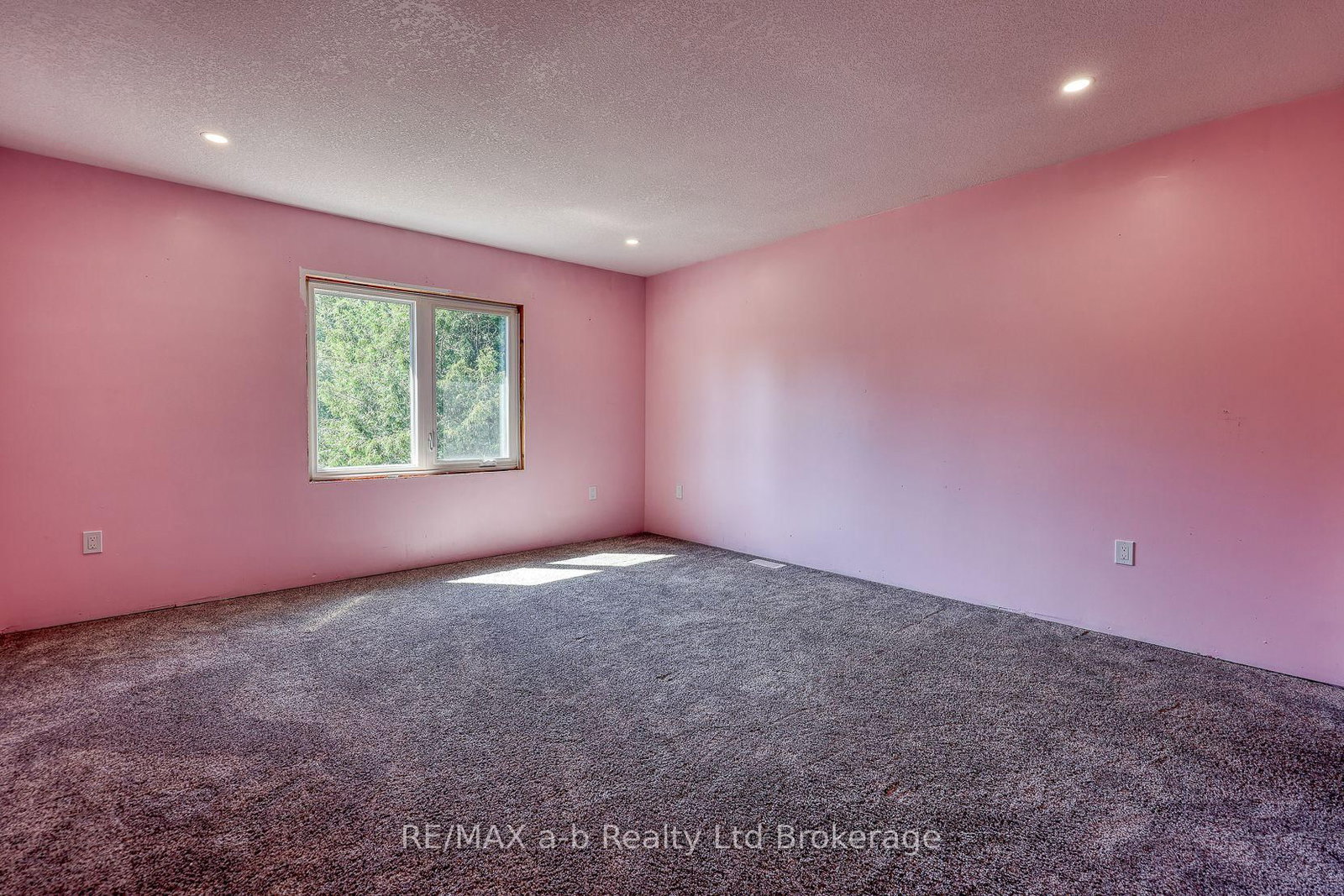 287 24 Highway W Road • Norfolk, ON photo 30