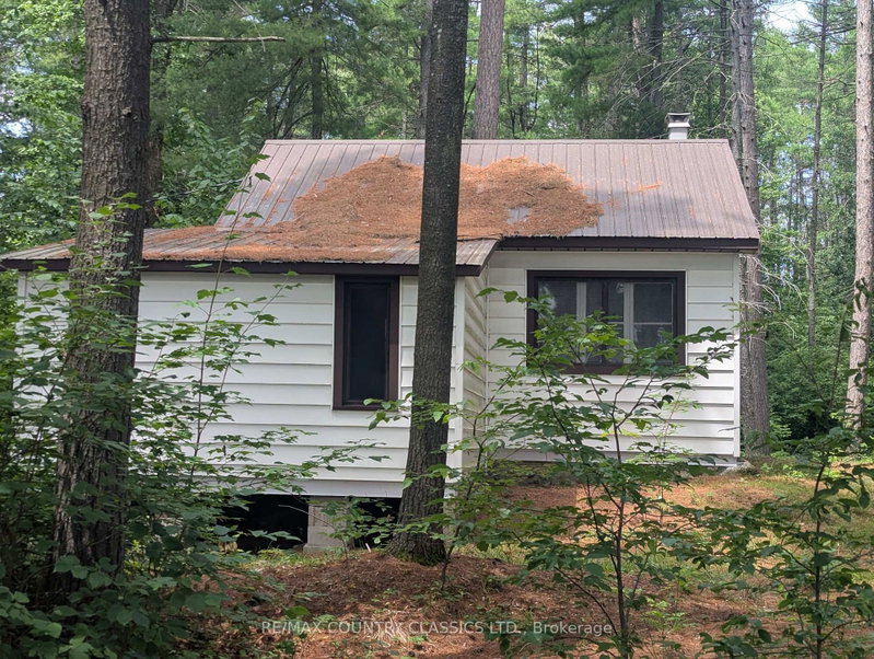 22 Swan Lane