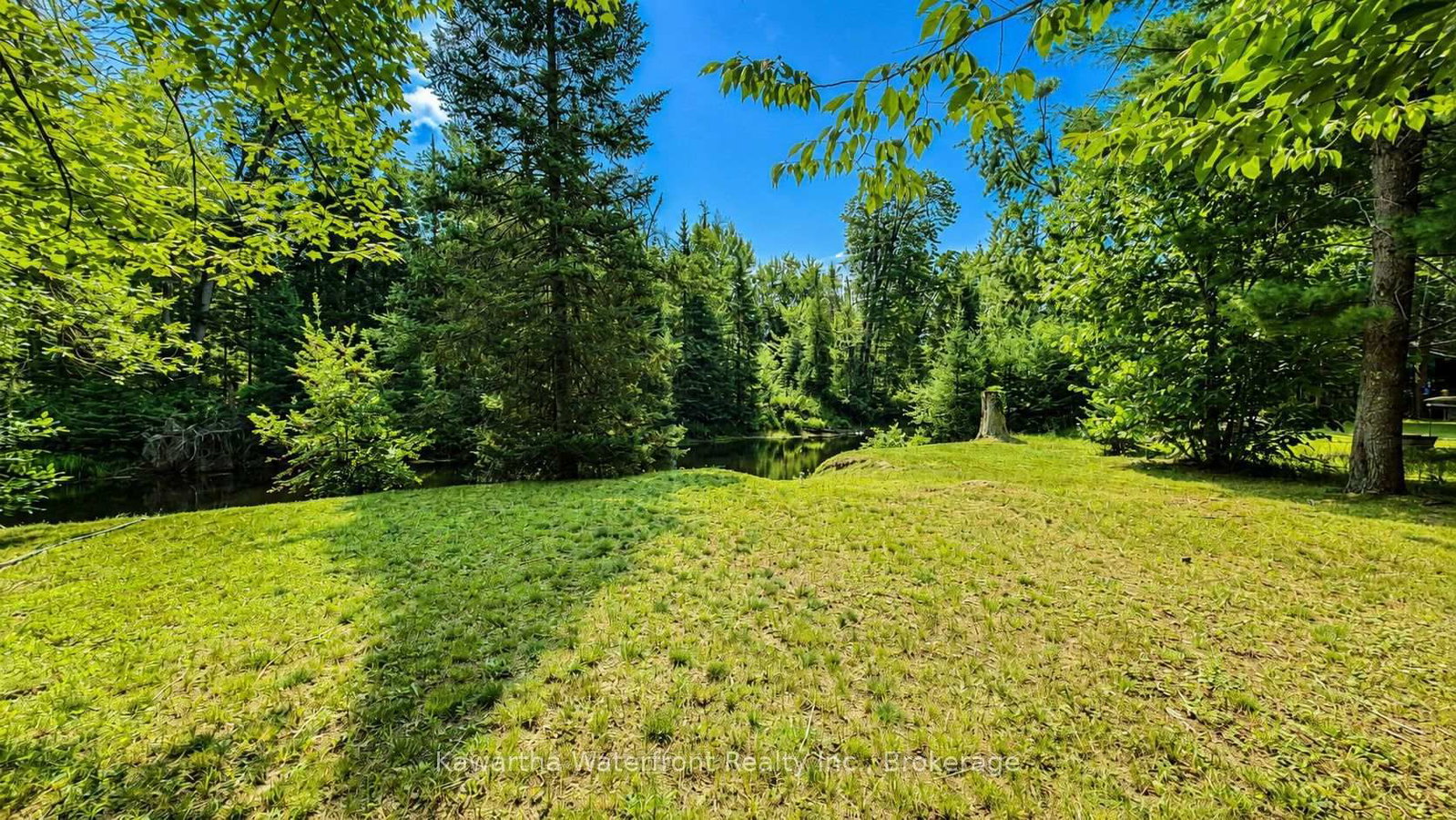 1035 Nystedt Lane • Minden Hills, ON photo 25