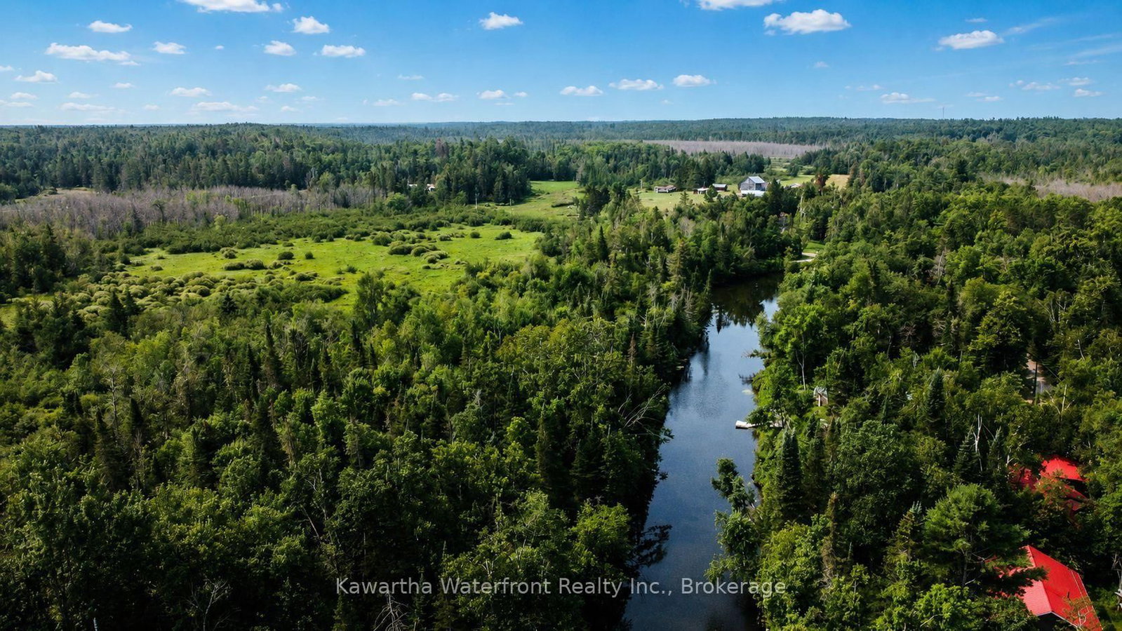 1035 Nystedt Lane • Minden Hills, ON photo 32