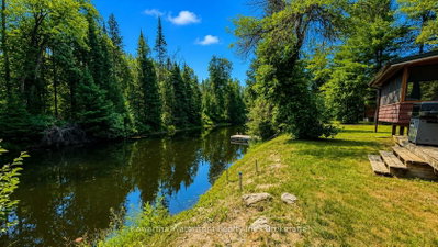 1035 Nystedt Lane • Minden Hills, ON photo 4