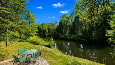 1035 Nystedt Lane • Minden Hills, ON photo 5