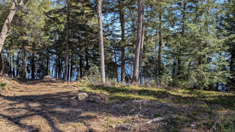 LOT 1 ESIG Lane