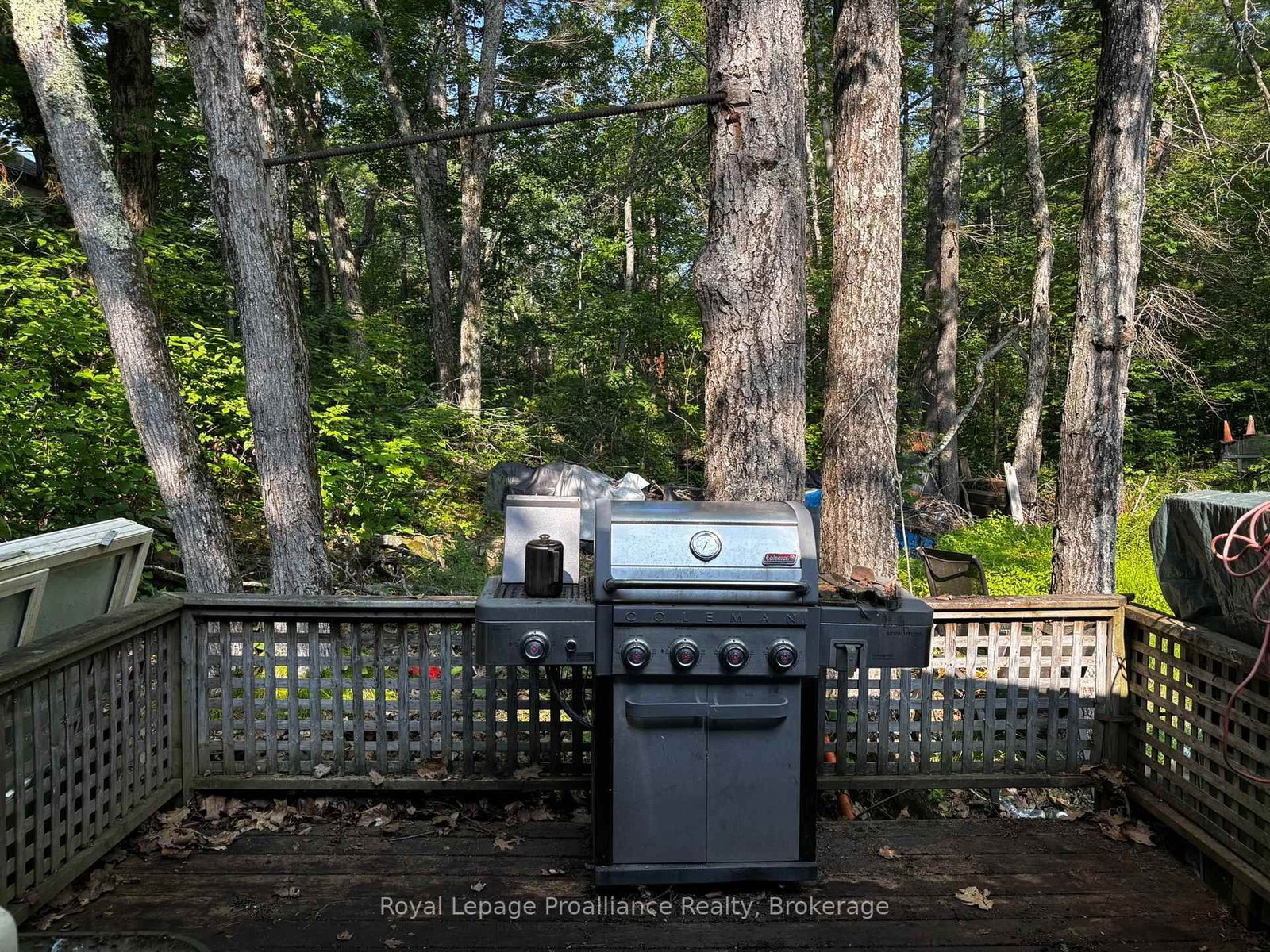 224 Fire Route 91 • Havelock-Belmont-Methuen, ON photo 12