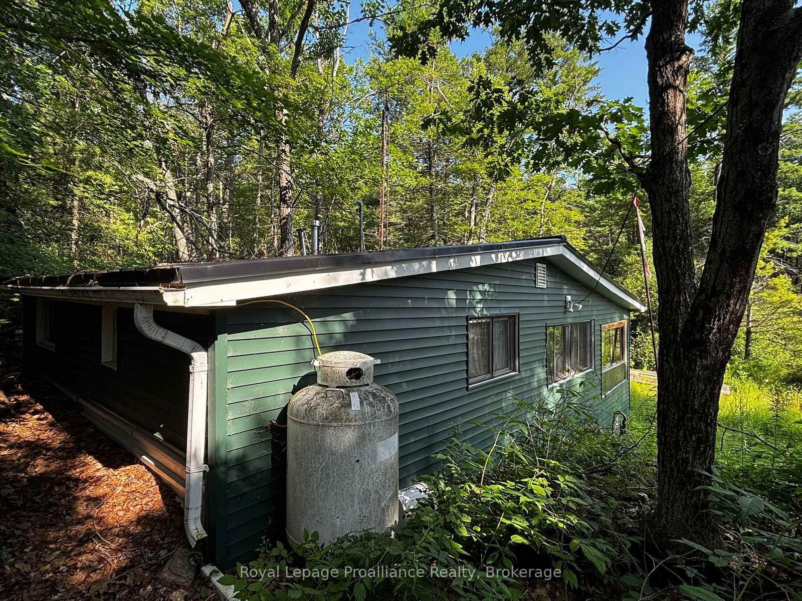 224 Fire Route 91 • Havelock-Belmont-Methuen, ON photo 13