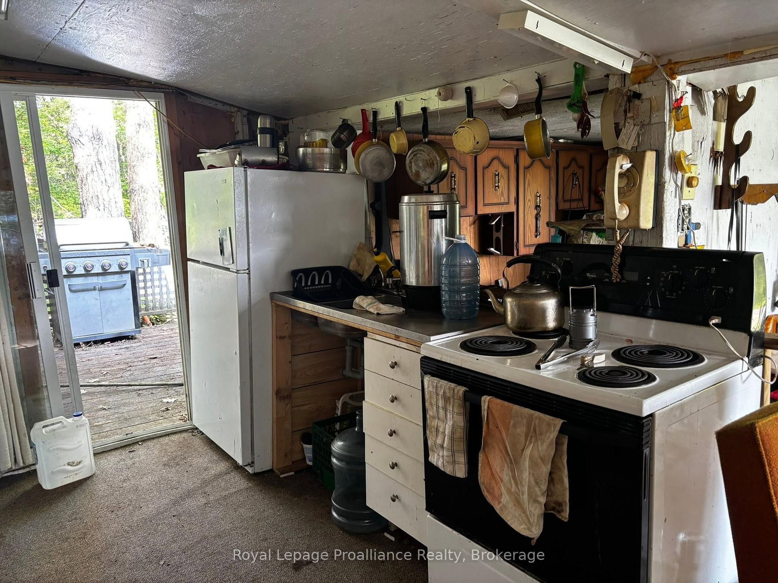 224 Fire Route 91 • Havelock-Belmont-Methuen, ON photo 17