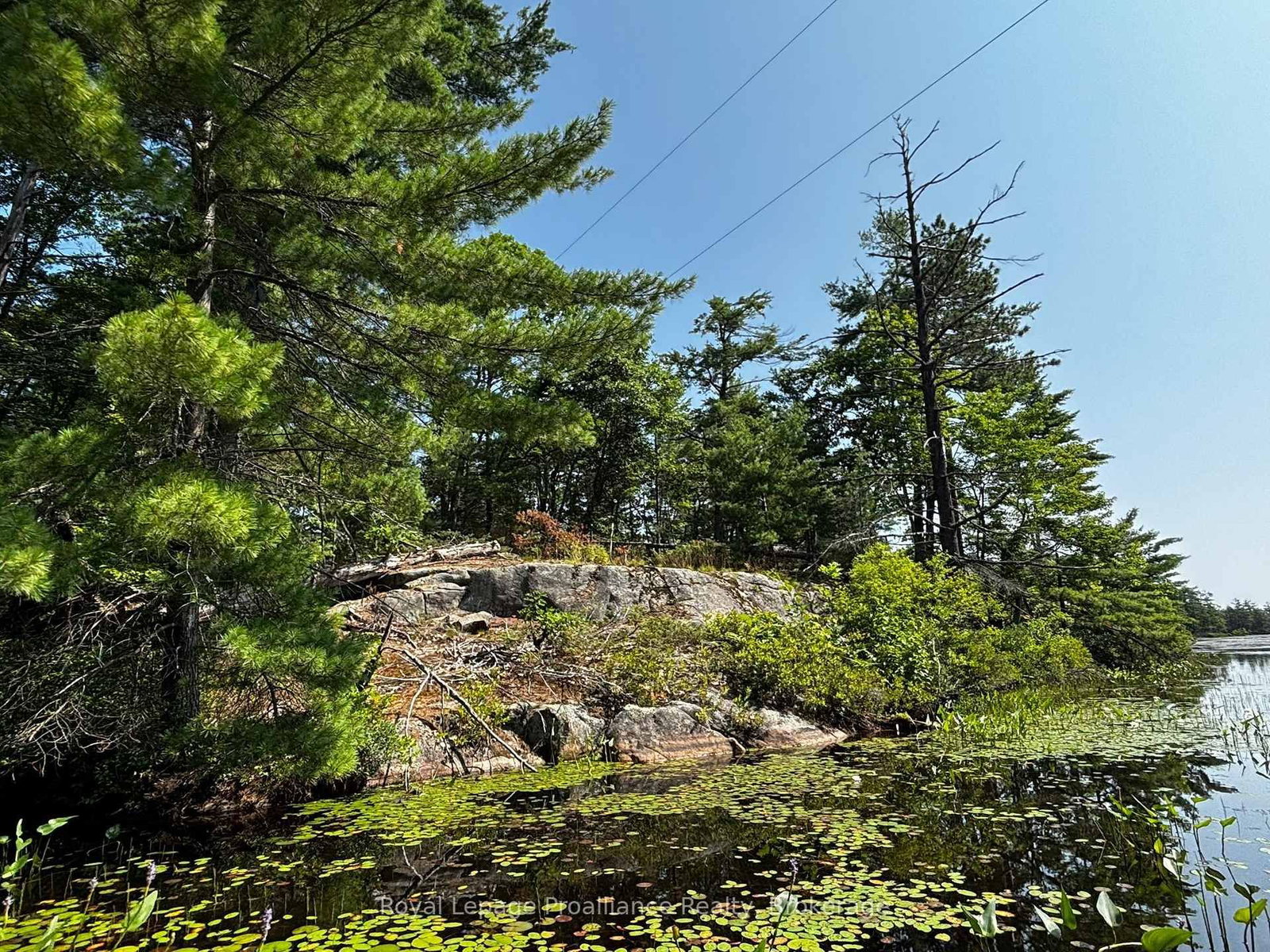 224 Fire Route 91 • Havelock-Belmont-Methuen, ON photo 26