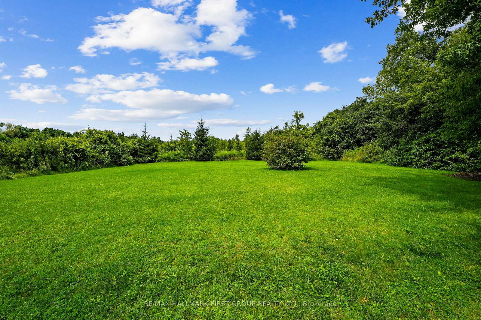 9950 Danforth Road E • Alnwick/Haldimand, ON photo 41