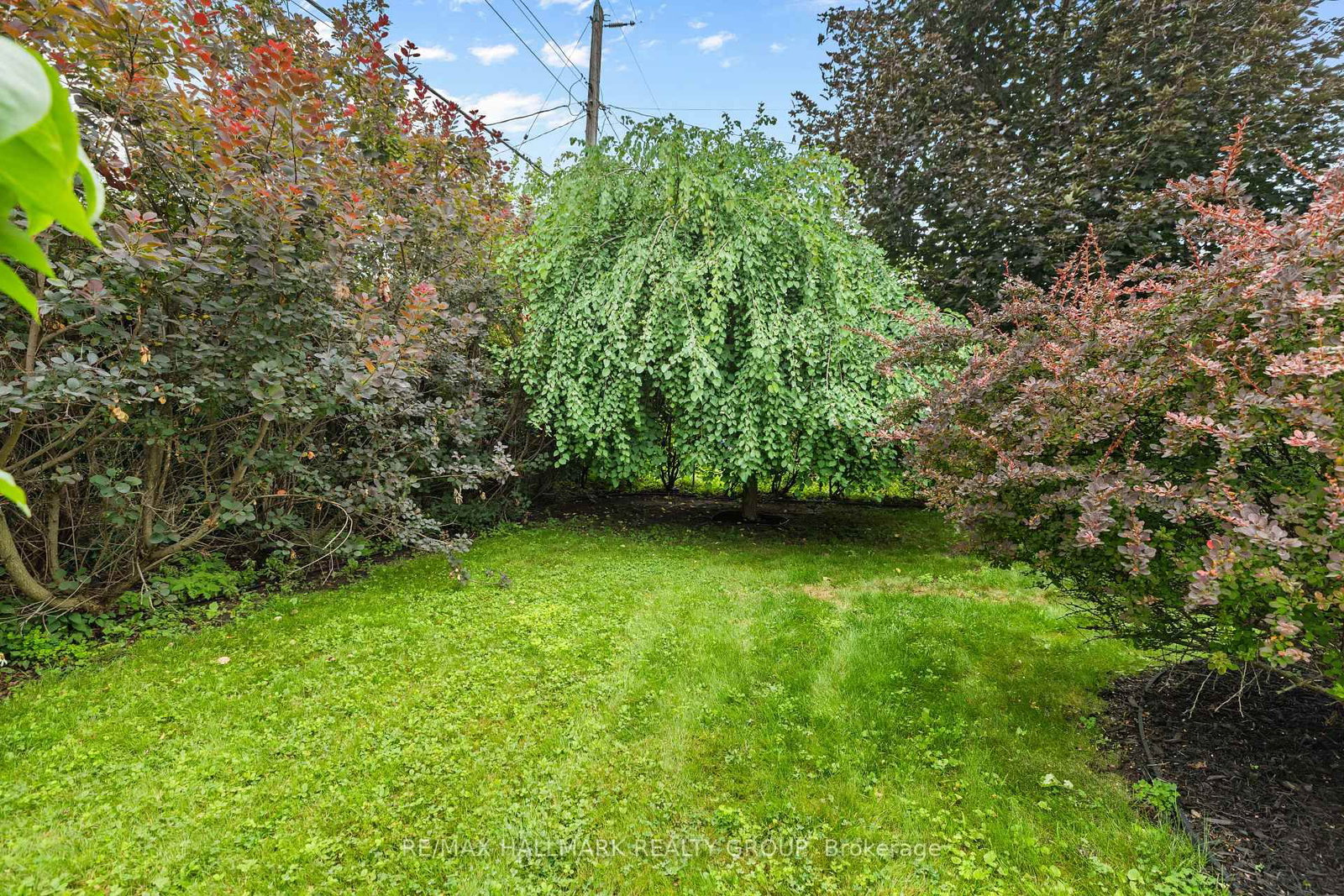 932 Dresden Crescent • Ottawa, ON photo 47