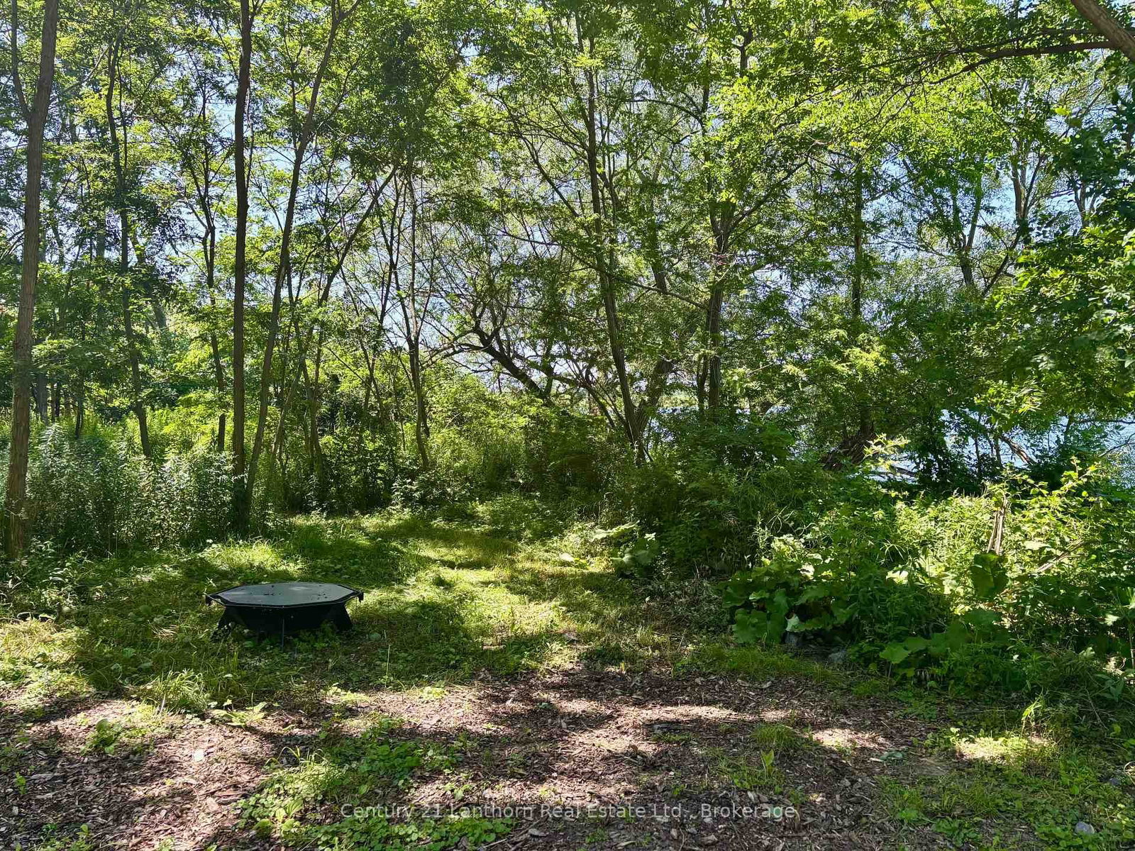 49 Cressy Bayside Road • Prince Edward County, ON photo 25
