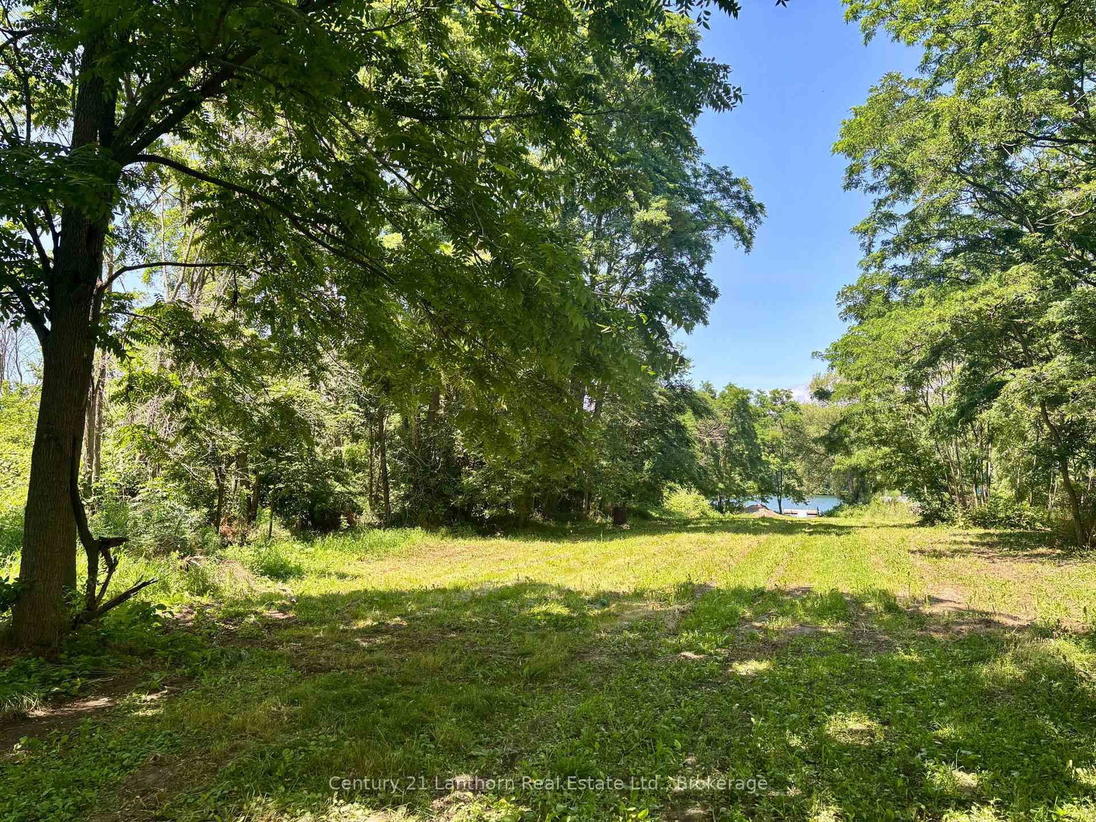 49 Cressy Bayside Road • Prince Edward County, ON photo 26