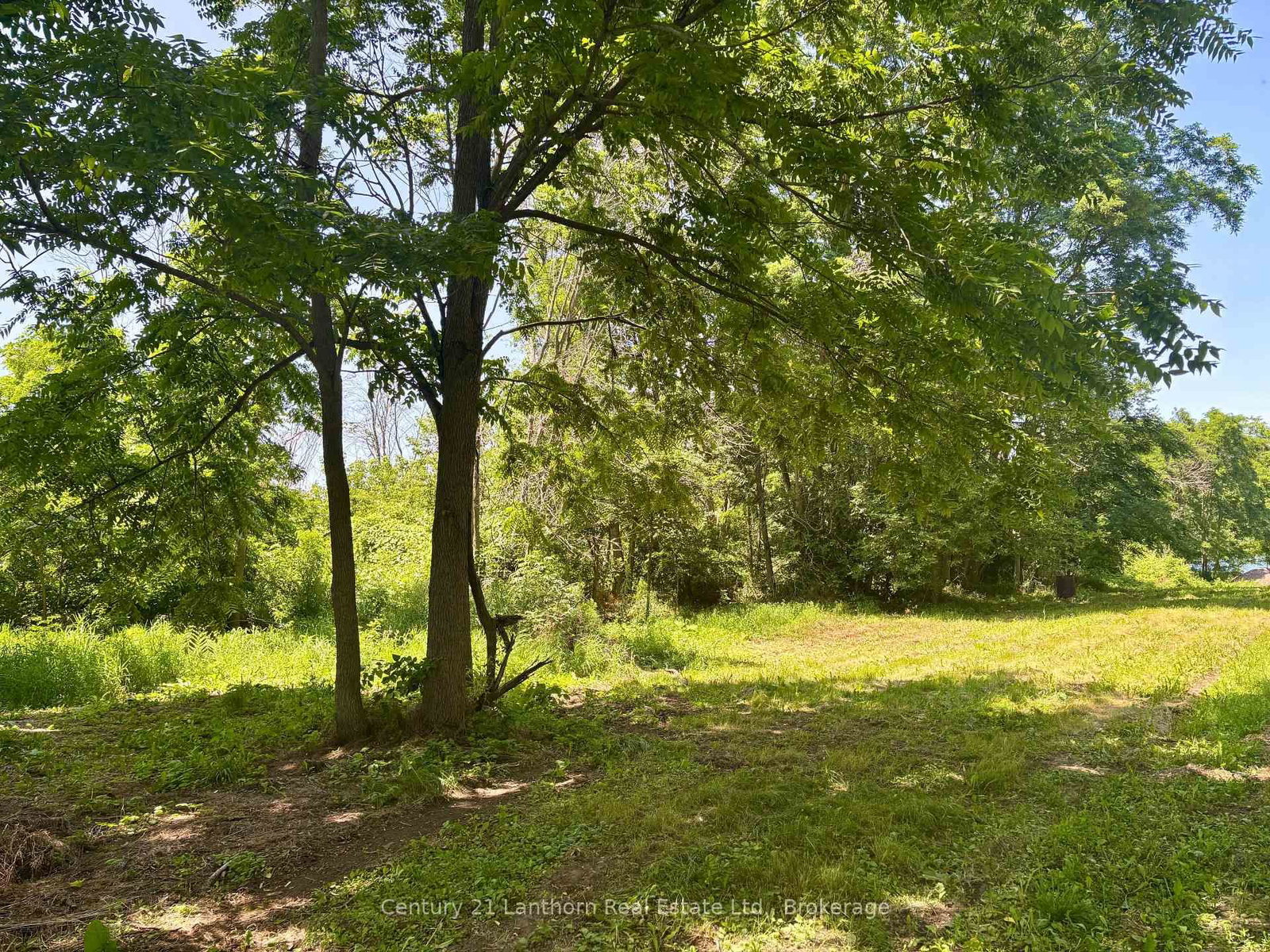 49 Cressy Bayside Road • Prince Edward County, ON photo 27