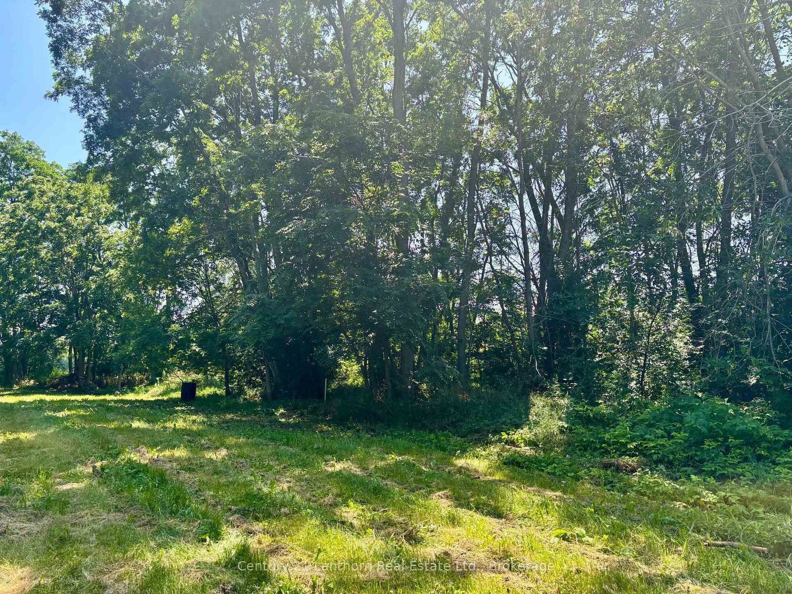 49 Cressy Bayside Road • Prince Edward County, ON photo 29