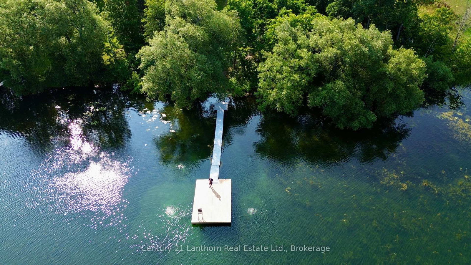 49 Cressy Bayside Road • Prince Edward County, ON photo 3