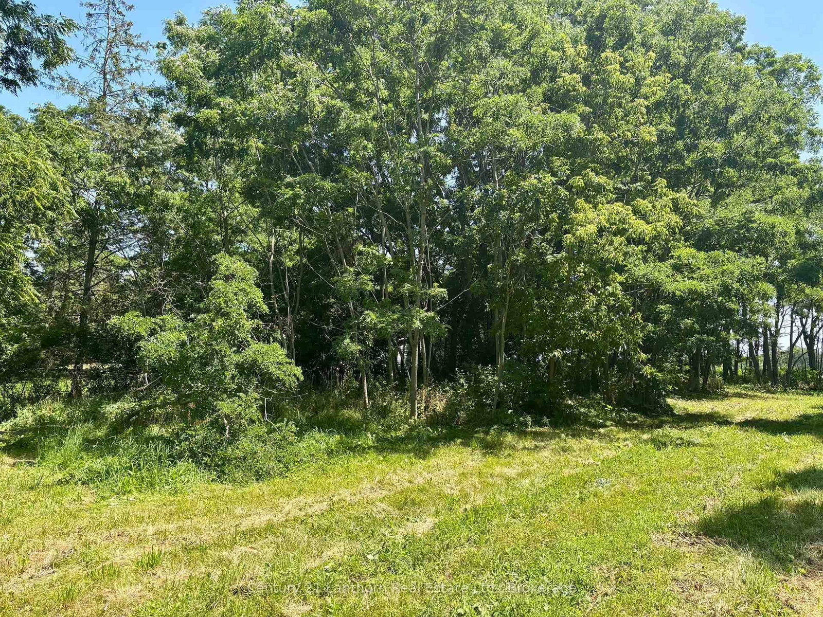 49 Cressy Bayside Road • Prince Edward County, ON photo 30