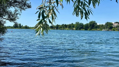 49 Cressy Bayside Road • Prince Edward County, ON photo 5