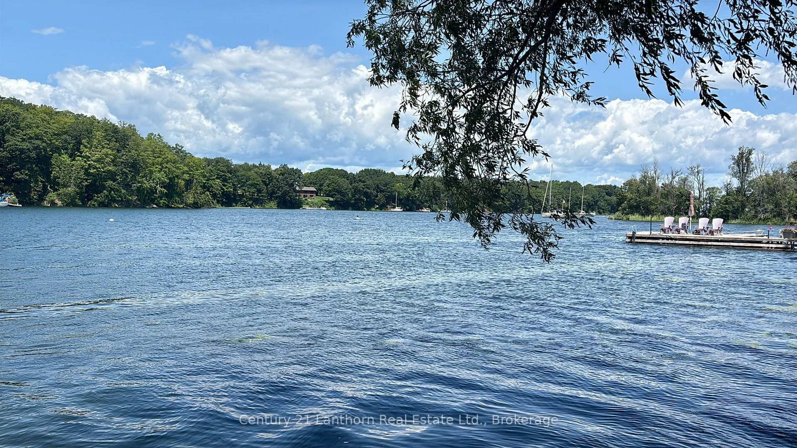 49 Cressy Bayside Road • Prince Edward County, ON photo 6