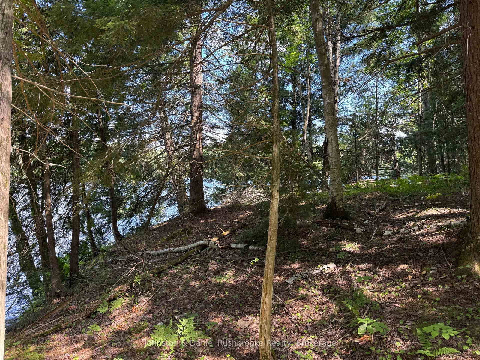 2 Island 24LM (Denison) • Gravenhurst, ON photo 10