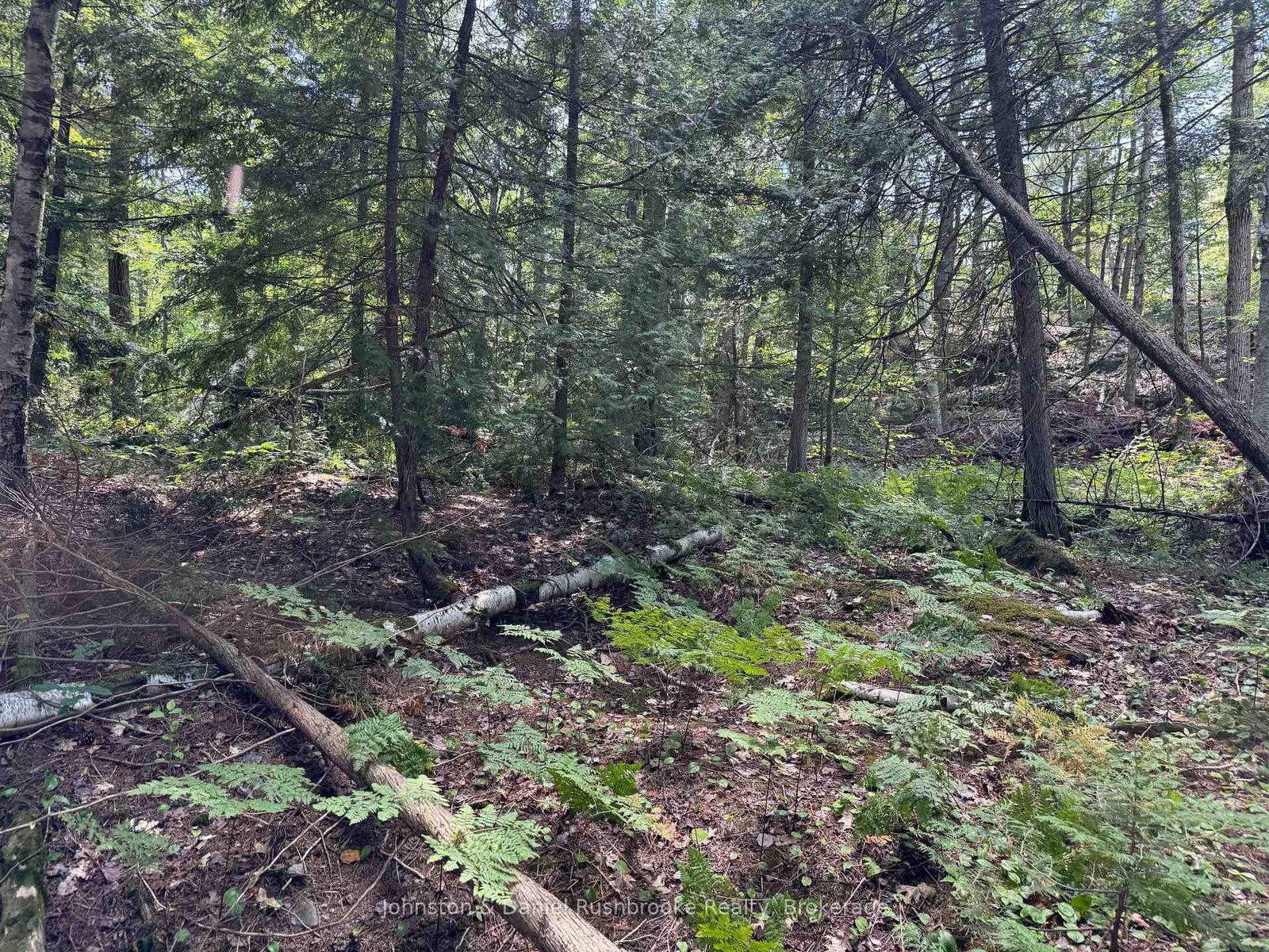 2 Island 24LM (Denison) • Gravenhurst, ON photo 12