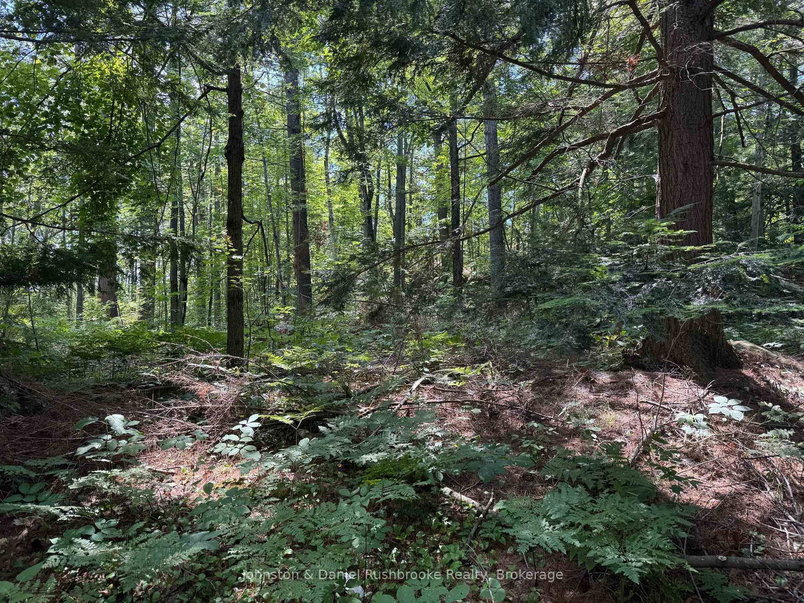 2 Island 24LM (Denison) • Gravenhurst, ON photo 5