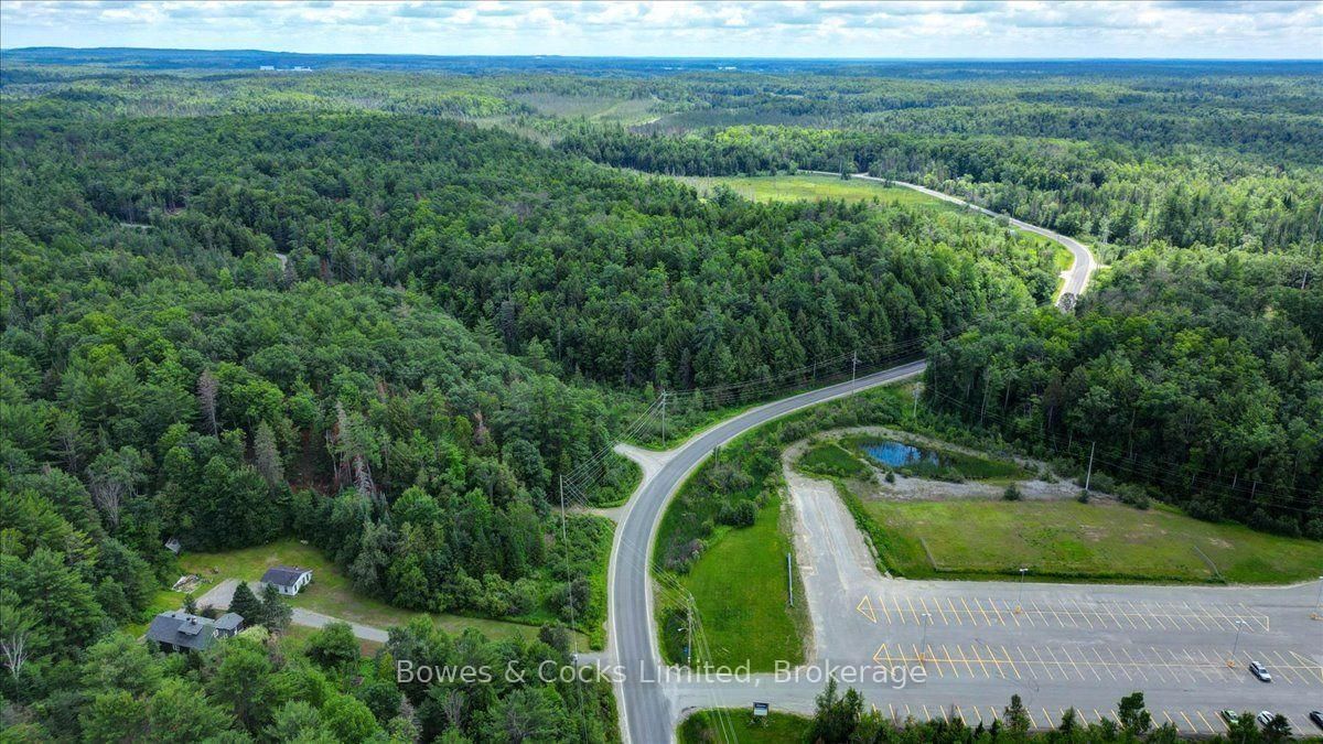 89 Jack Lake Road • North Kawartha, ON photo 47