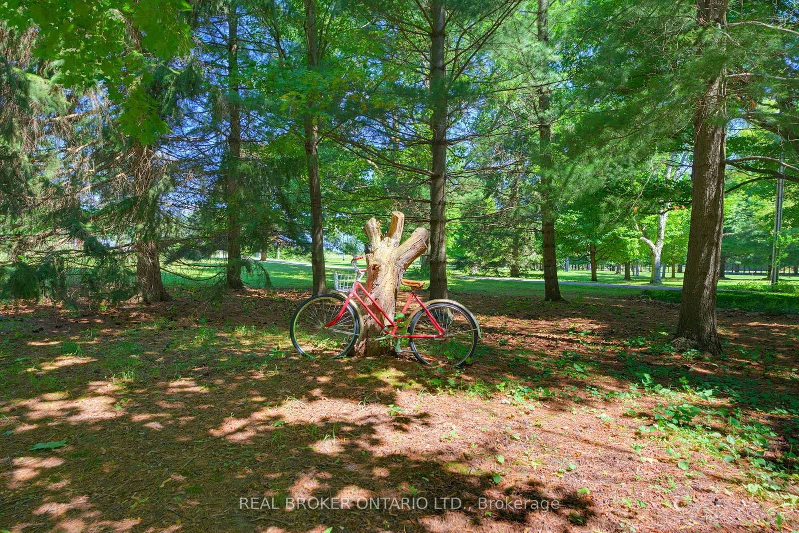 24 Pleasant Ridge Road • Brantford, ON photo 38