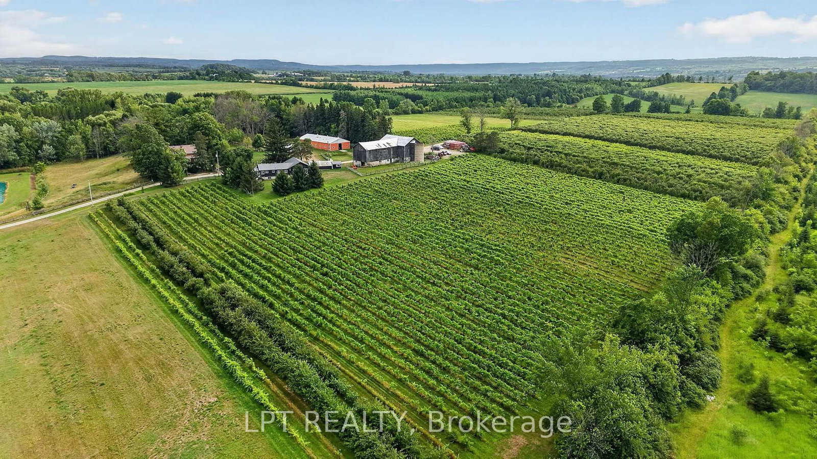 416476 10TH Line S • Blue Mountains, ON photo 42