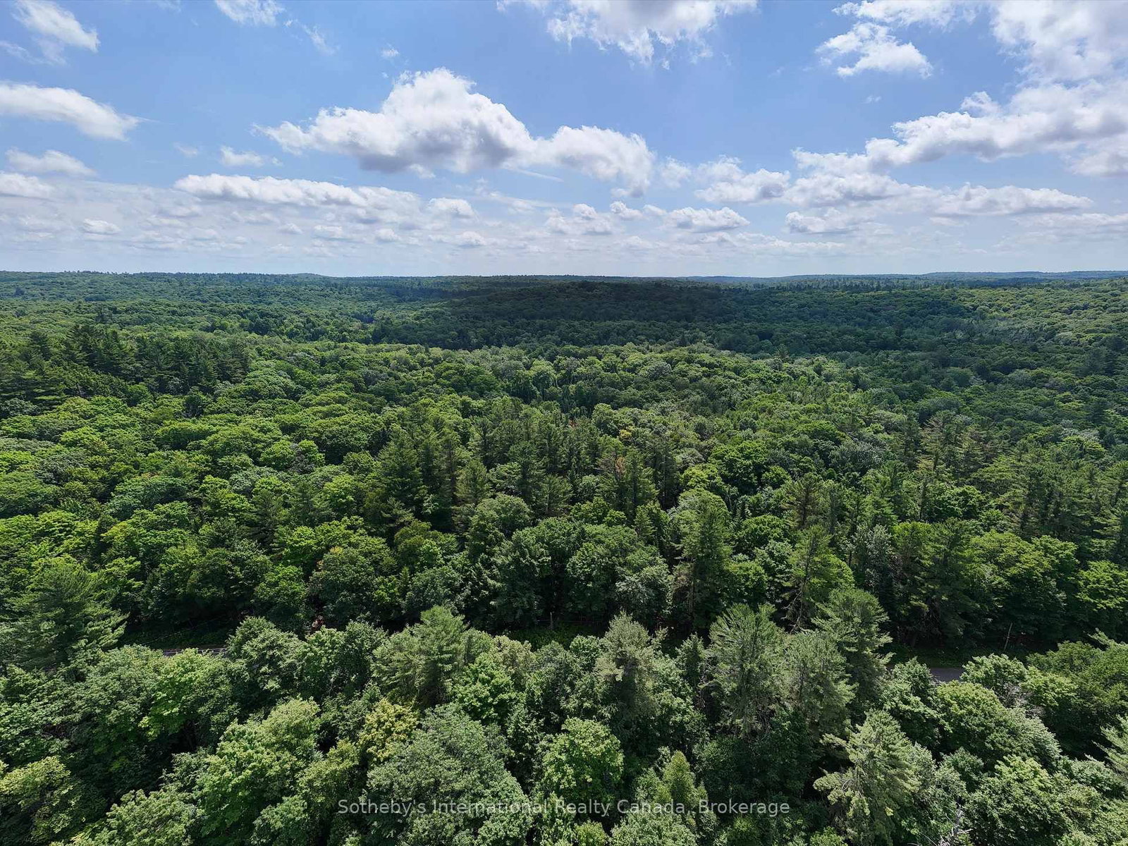 1098 Old Hwy 117 • Lake of Bays, ON photo 3