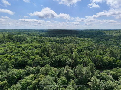 1098 Old Hwy 117 • Lake of Bays, ON photo 3