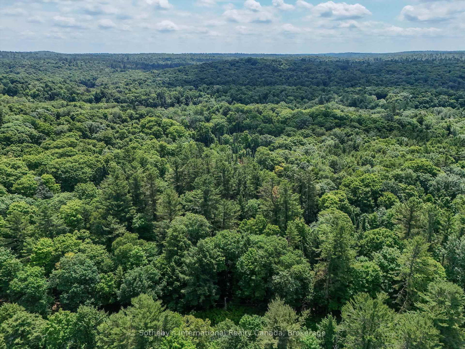 1098 Old Hwy 117 • Lake of Bays, ON photo 4