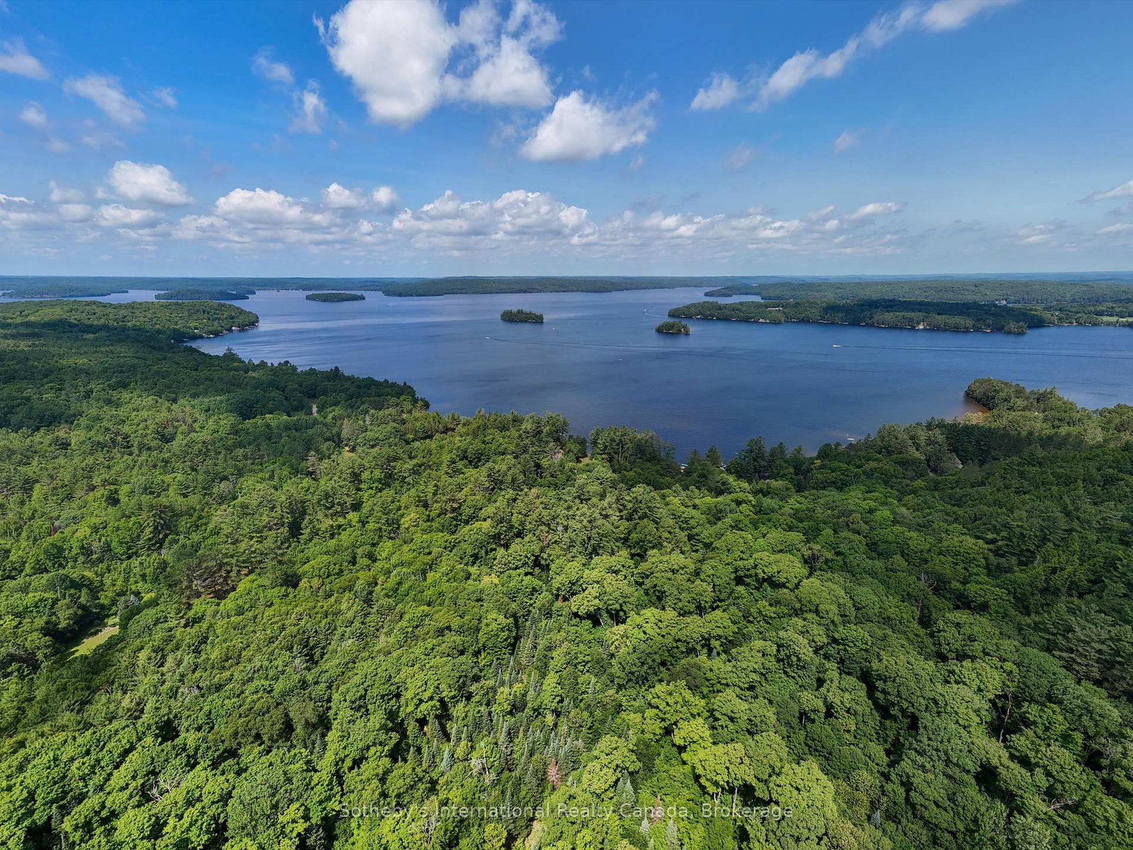1098 Old Hwy 117 • Lake of Bays, ON photo 6