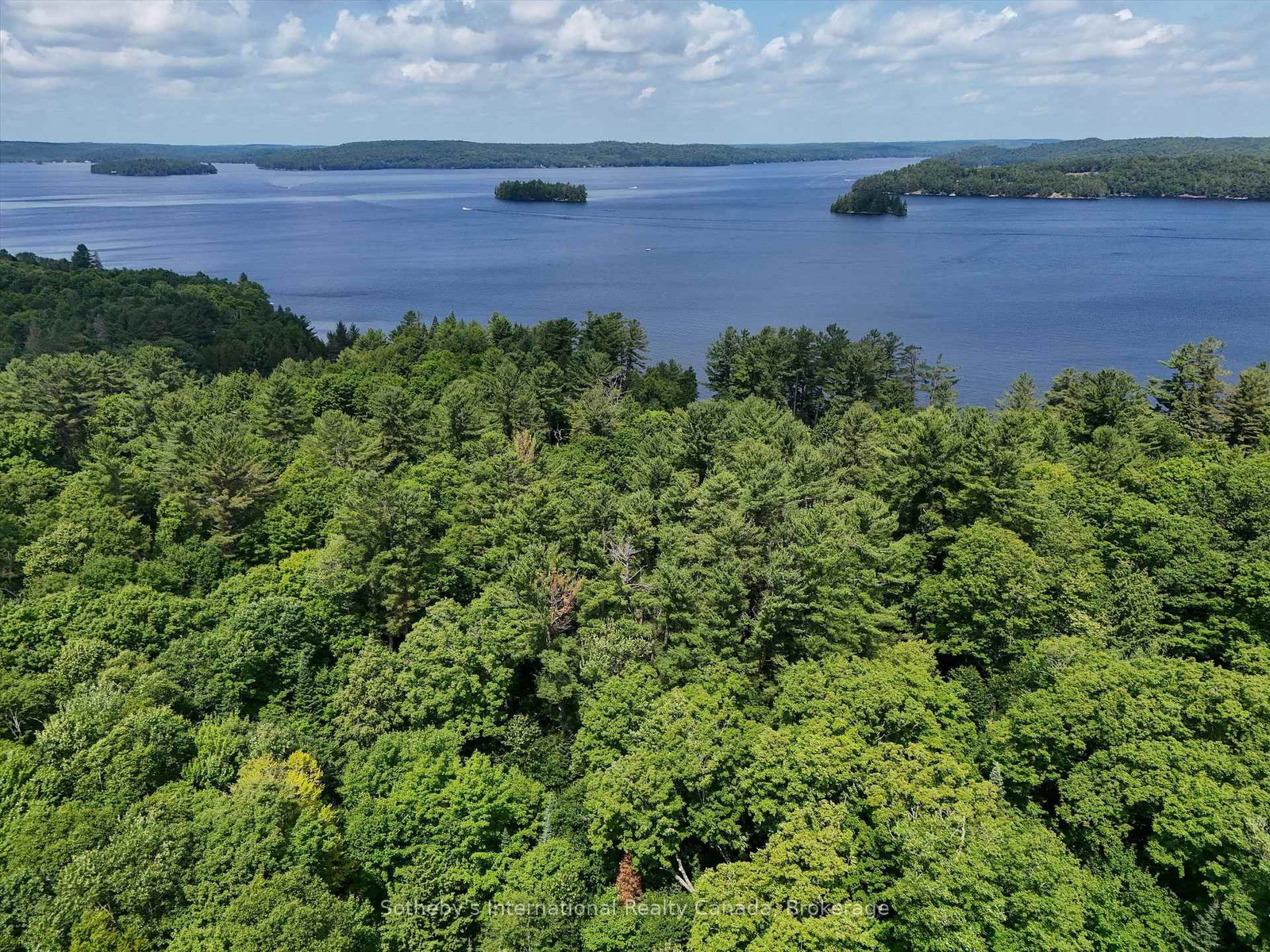 1098 Old Hwy 117 • Lake of Bays, ON photo 8