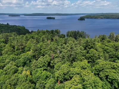 1098 Old Hwy 117 • Lake of Bays, ON photo 8