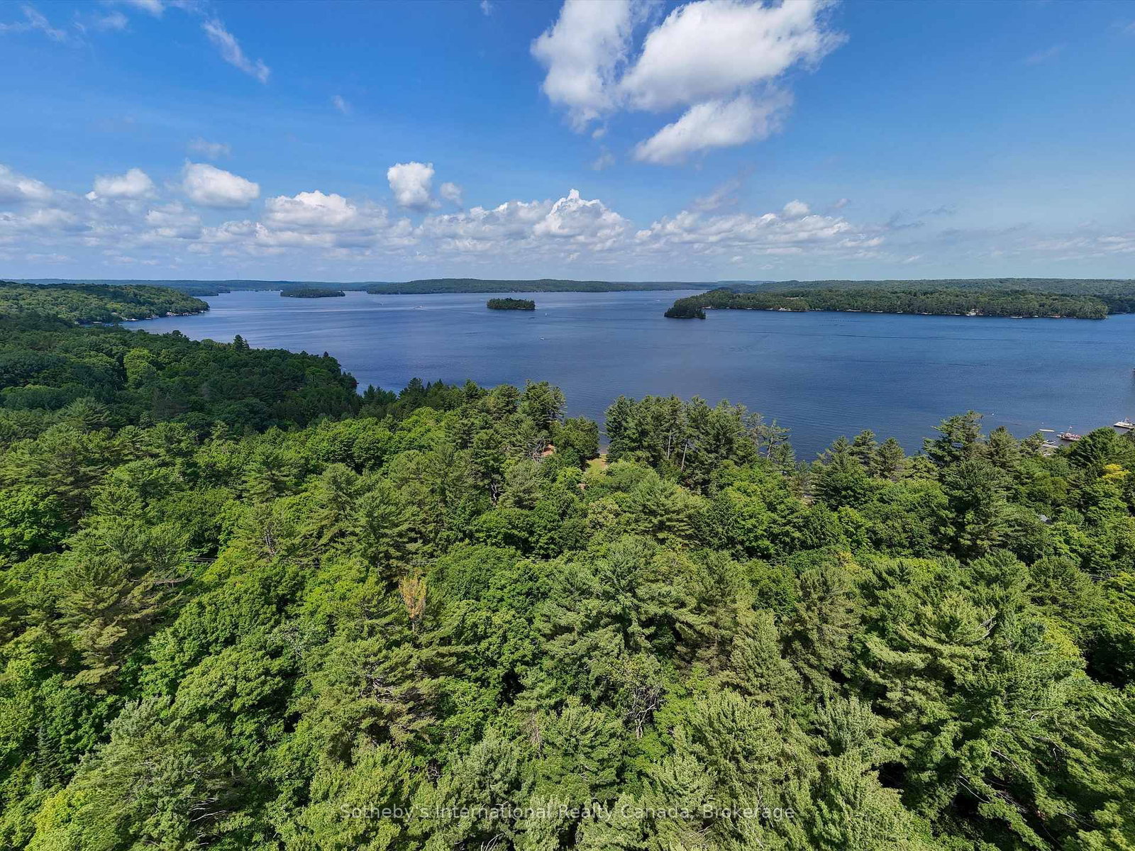 1098 Old Hwy 117 • Lake of Bays, ON photo 9