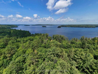1098 Old Hwy 117 • Lake of Bays, ON photo 9