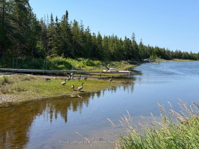 17 Bay Shore Ave. N. Avenue • Northern Bruce Peninsula, ON photo 5