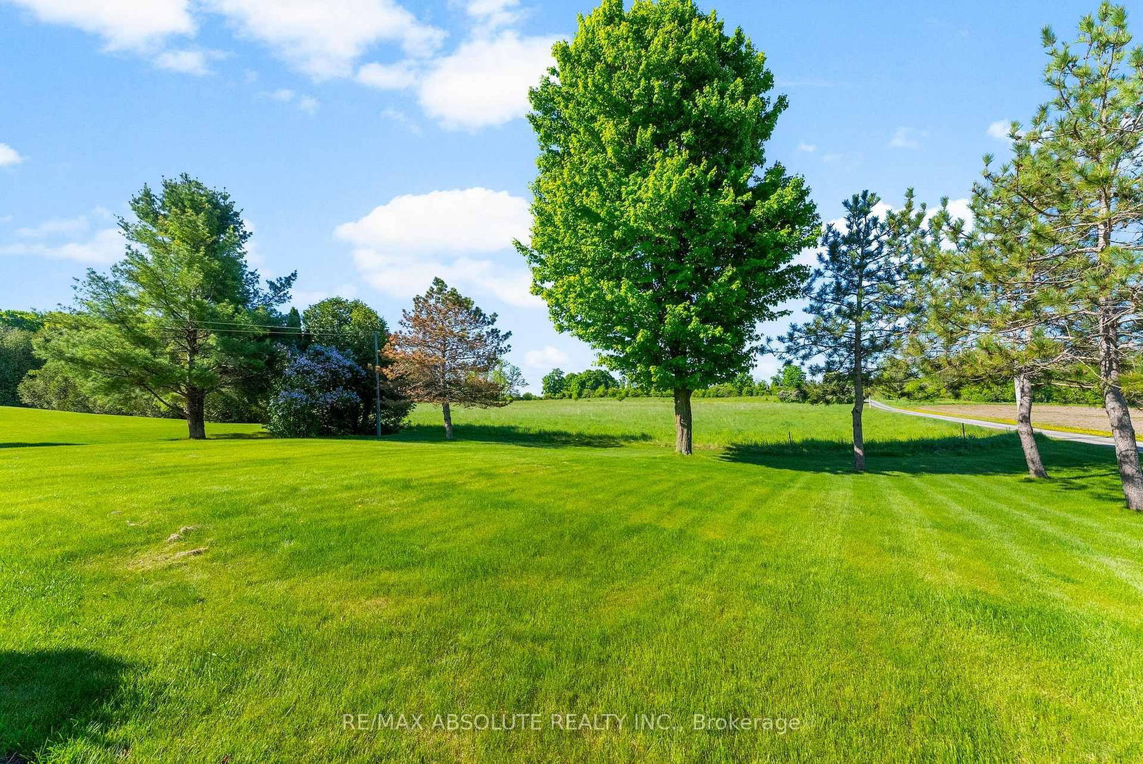 151 Duncan Drive • Braeside, ON photo 43