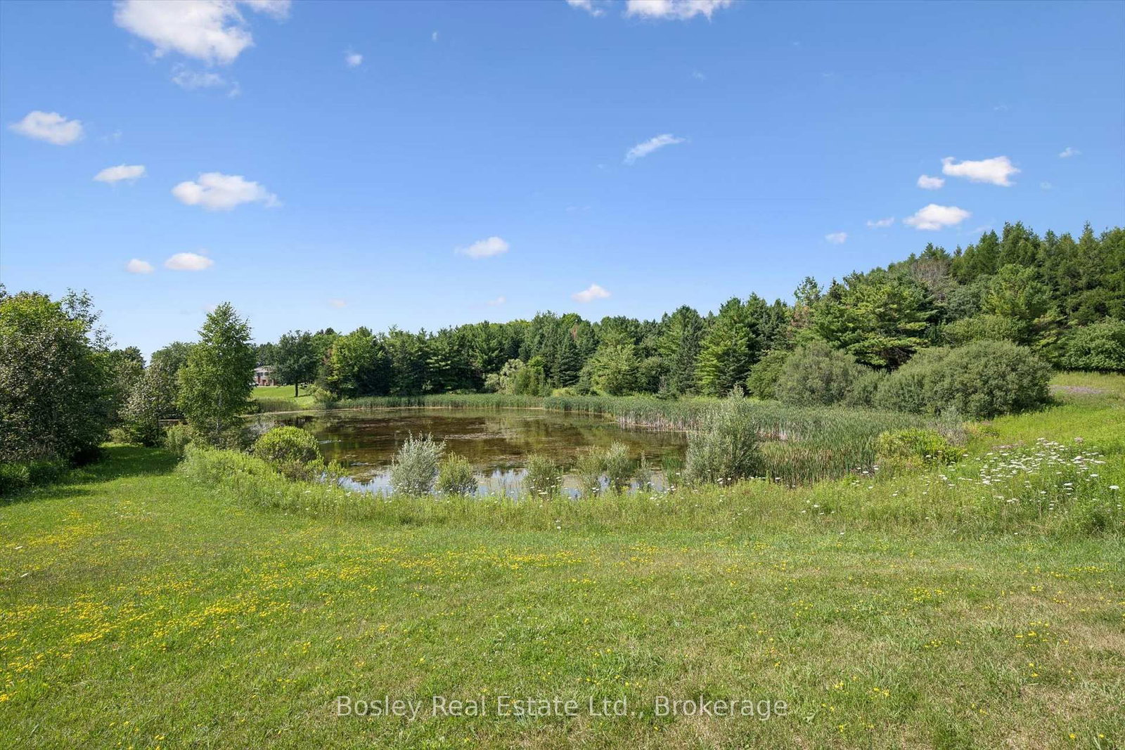 5049 Third Line • Erin, ON photo 34