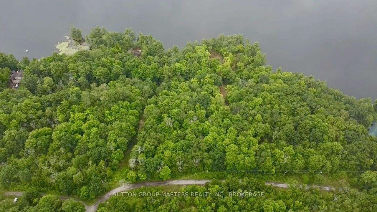 3025 Old Fourteen Island Lane • Verona, ON photo 10