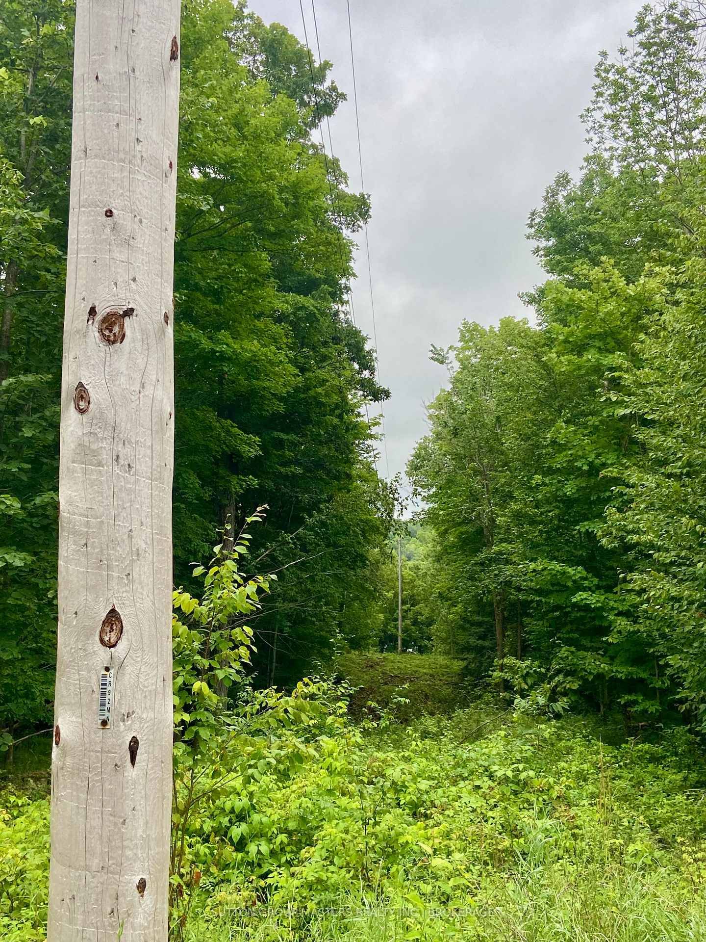 3025 Old Fourteen Island Lane • Verona, ON photo 16