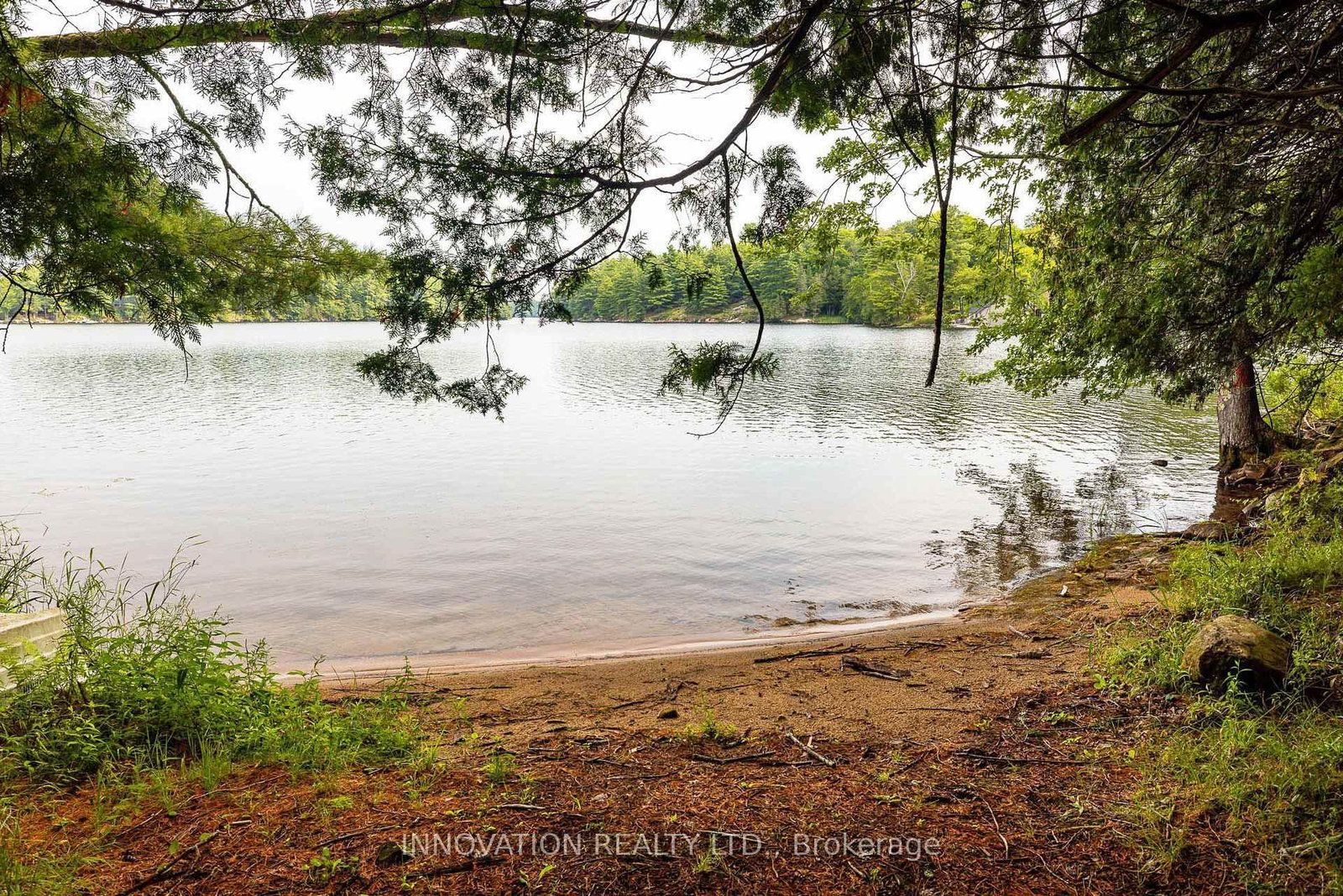 Listing Image 49
