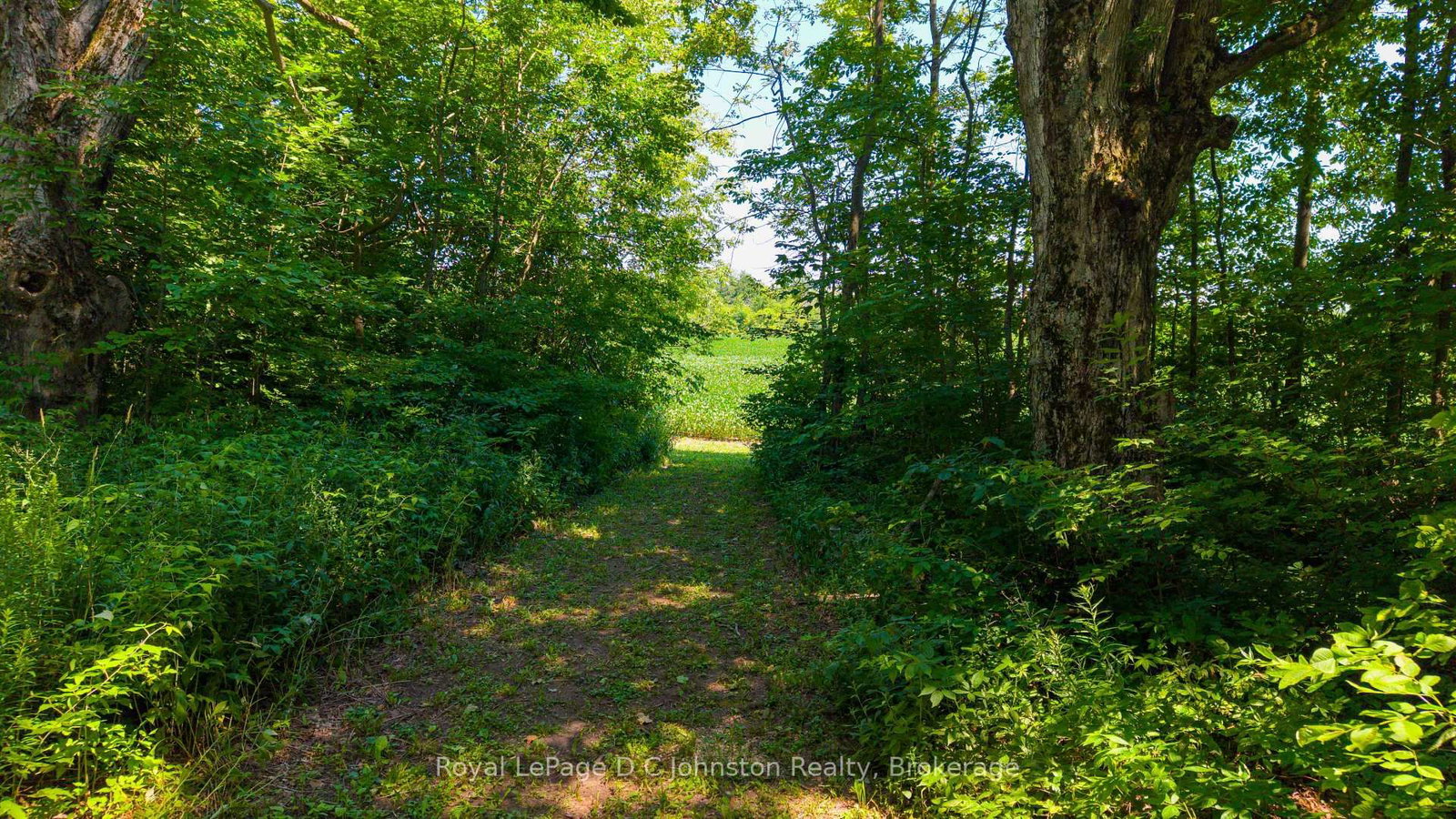 305 Sideroad 25 • Kincardine, ON photo 3